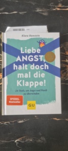 Buch: Liebe Angst, halt doch mal die Klappe!